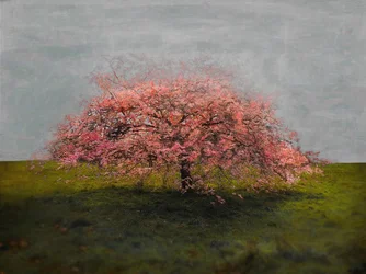 Fristående skönhet, 2019
