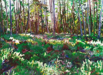 Solljus på Heather, 2011