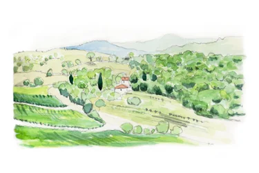 Tuscan Hill, 2014 (blyerts och akvarell)