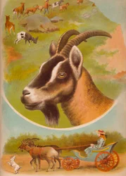 Geten, c1900