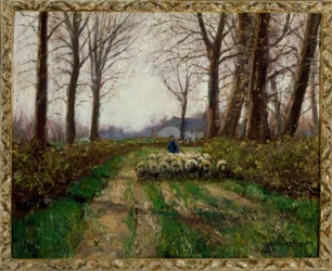 Fårskock
