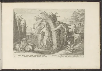 Bröd och Syrinx Ovidius metamorfoser (serietitel) The Herescheppingen van P. Ovidius Naso (serietitel)