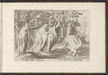 Phaethons systrar förvandlas till poppel och hans vän till en svan Ovidius metamorfoser (serietitel) Rekreationer av P. Ovidius Naso (serietitel)