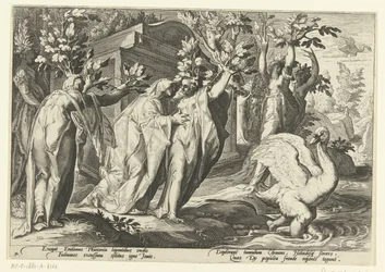 Phaëthons systrar förvandlas till poppel och hans vän till en svan Ovidius metamorfoser (serietitel)