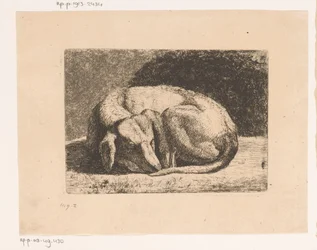 sovande hund