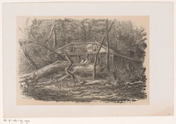 Träd som blåste ner vid Buitenlust, efter stormen den 28 maj 1860 Buitenlust (titel på objekt) Album med tio litograferade skisser, föreställande Tooneelen of the Destruction, agitated by the storm of the 28 maj, 1860 in the 