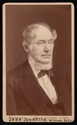 Porträtt av John Johnston 1806-1879, före 1876.