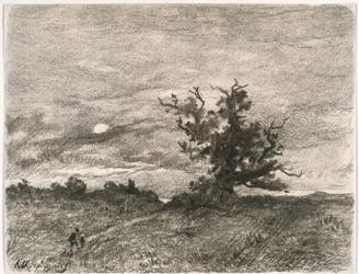 Månupplyst landskap