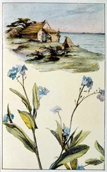 Illustration till "Le Tresor d