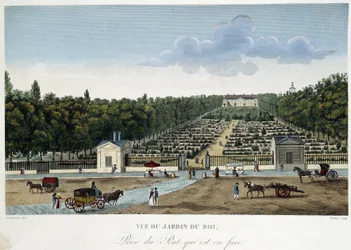 Utsikt över Jardin du Roi (växternas trädgård) tagen från bron mittemot - i "" Views of Paris"" av Courvoisier