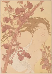 I Brambles