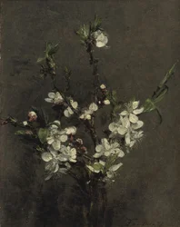 Fruktträd blommor