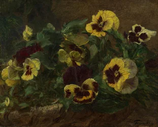 Penséer, 1903.