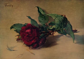 Röd ros, c1864, 1938