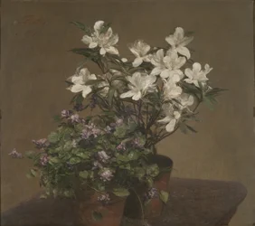 Violer och azaleor