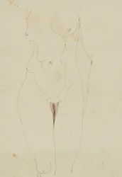 Kvinnlig naken torso (penna och bläck på papper)
