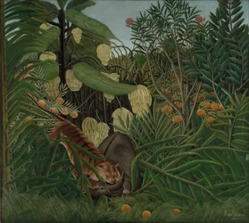 Kamp mellan en tiger och en buffel, 1908