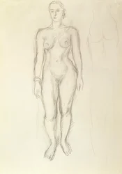 Studie av en nakenbild