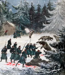 Björnattack, Ryssland, 1892