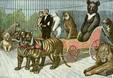 La cage des betes feroces au jardin d