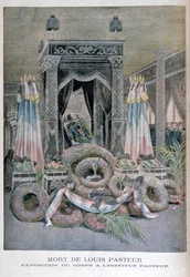 Louis Pasteur, fransk kemist, död 1895