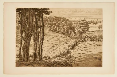 [Hamnen i Douarnenez]