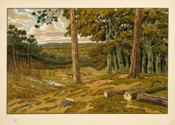 Skogen