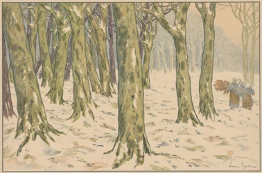 Skogen, vinter
