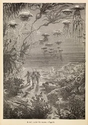 "En promenad under vattenytan" ur "20 000 Leagues Under The Sea", ca 1870 (gravyr)