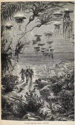 Illustration för 