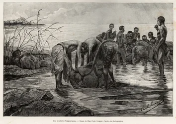 En flodhästslaktare på stranden av en centralafrikansk flod. Gravyr av Henri Thiriat för att illustrera berättelsen "" La mission Crampel"", av Albert Nebout (1862-1939), 1890, i Le tour du Monde 1892, regisserad av Edouard Charton (1807-1891), Hachette, P