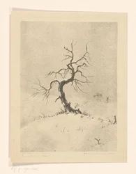 Lonely Tree (originaltitel på objekt)