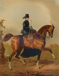 "A Ladies Horse - The Property of the Late Earl of Pembroke", c1840s, c1879.