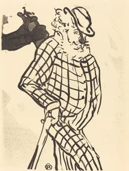 Amerikansk sångare Amerikansk sångare, 1893.