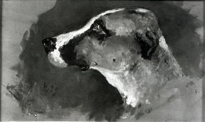 Huvud av en hund med korta öron, 1879