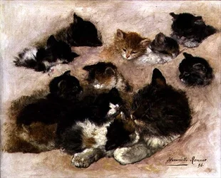 Studie av katter och kattungar