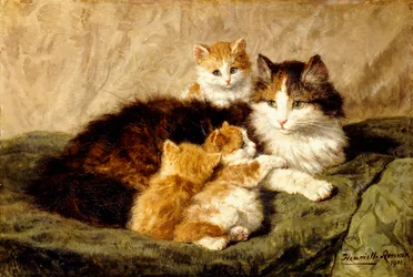 Belåtenhet, 1900