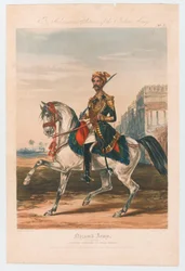 Nizams armé