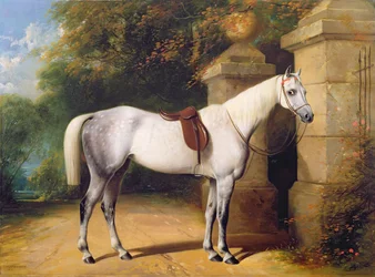 A Grey Horse av Park Gates, 1851