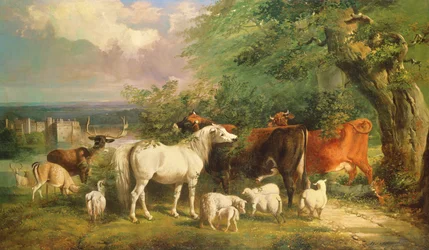 Haddon Hall med får, boskap, en hjort och en ponny