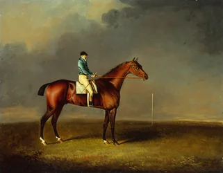 Hans Kungliga Höghet, prinsen av Wales bay racehäst Sir David av Trumpator med Chifney upp, på Newmarket Heath