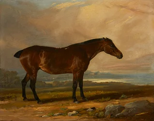 Studie av en Bay Hunter in a Landscape (olja på duk)