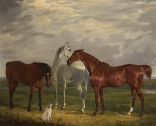 Three Horses of the 2nd Lord de Tabley and His Dog, Vic, 1838