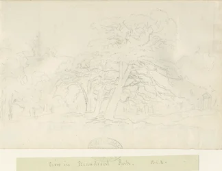 Beaudesert Park: blyertsteckning, nd [1788-1855]