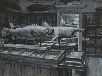 Interiörvy av British Museum som visar galleriet med fiskutställningar, ca 1880 (tvätt och kroppsfärg på papper)
