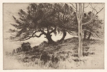 Nära havet