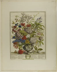 Juli, från Tolv månader av blommor
