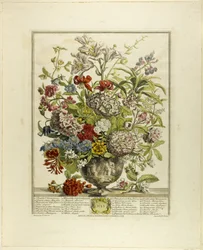 Juli, från Tolv månaders blommor