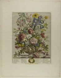 Juni, från Tolv månader av blommor