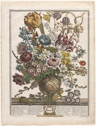 Tolv månaders blommor: mars